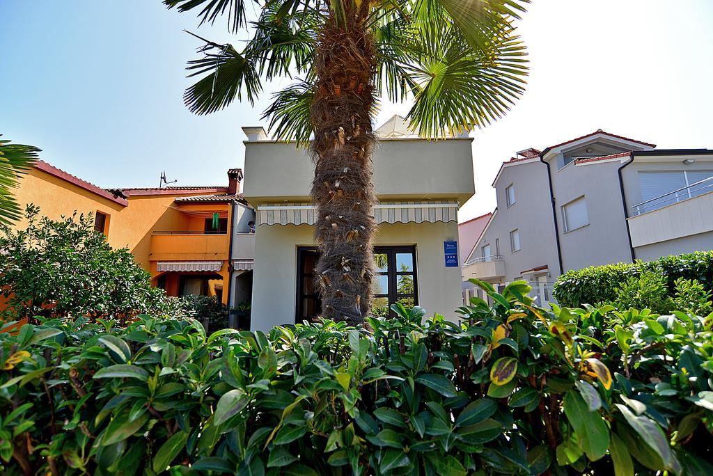 Apartment Apartments Drago 589